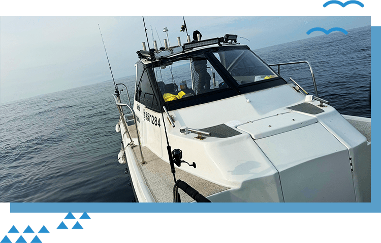 サブビジュアル