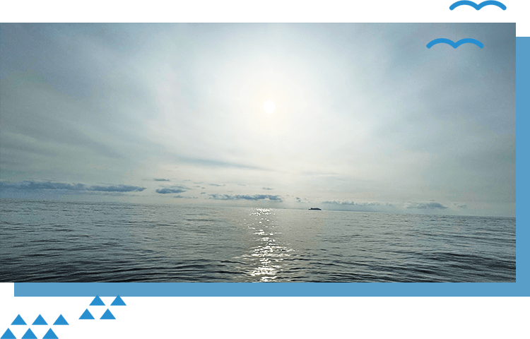 サブビジュアル